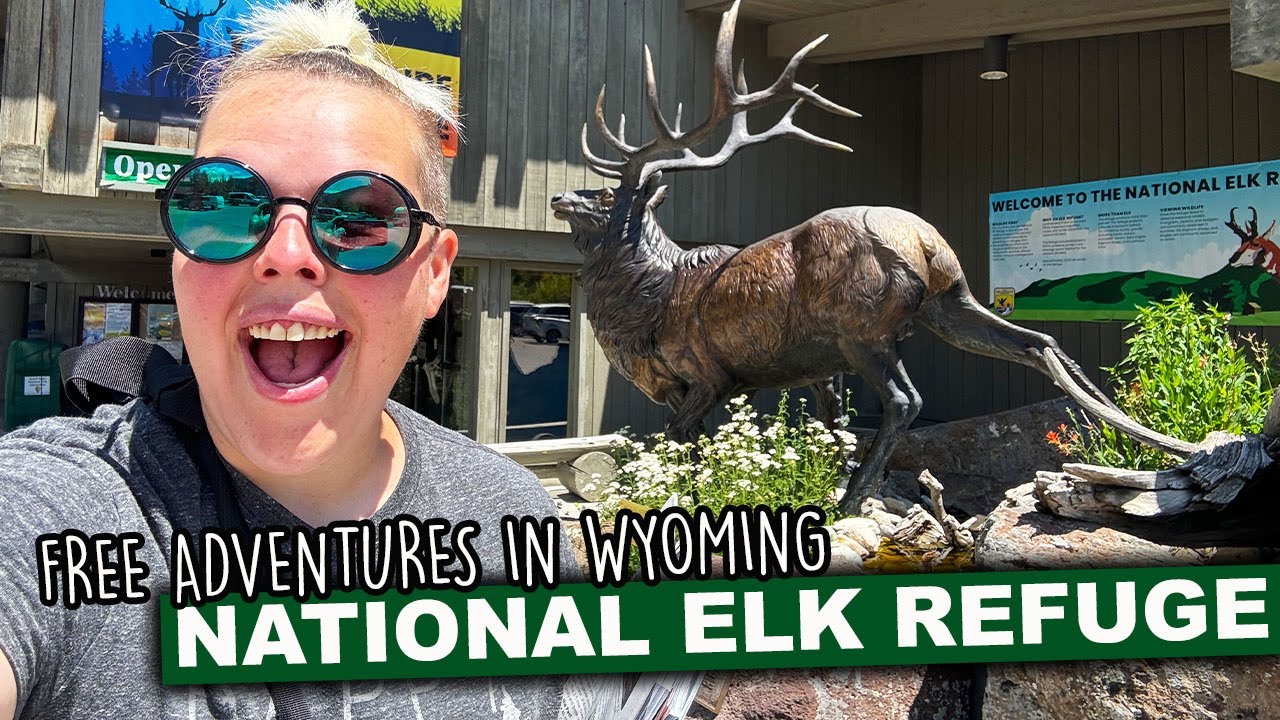Where The Wild Things Are | National Elk Refuge | Jackson, WY