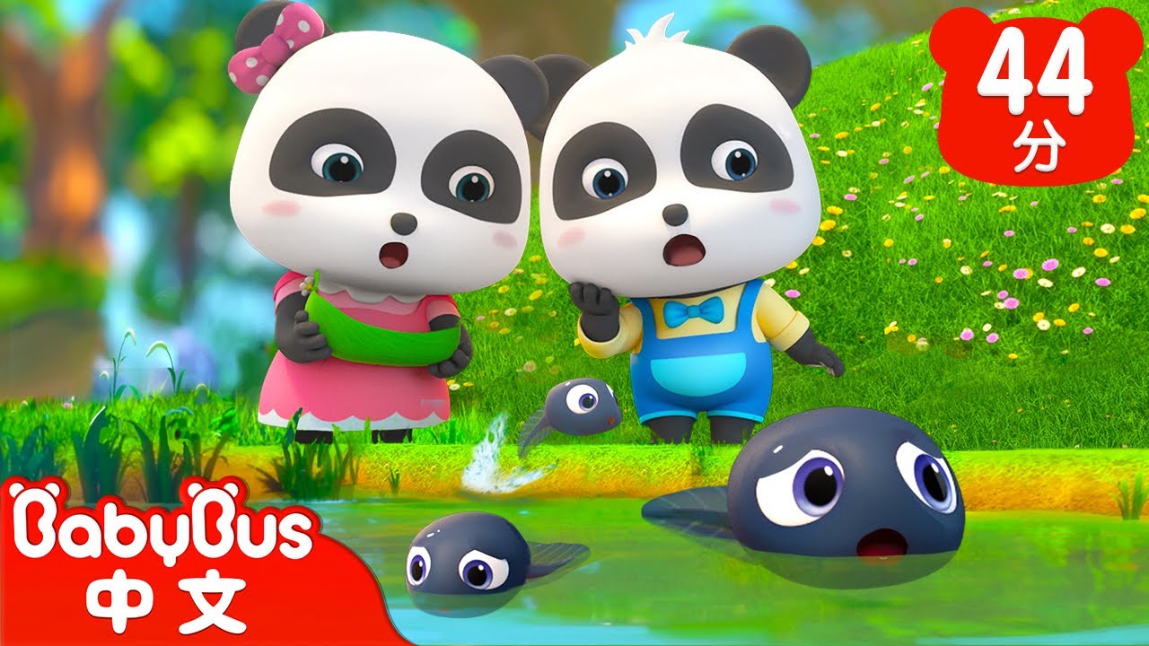 小蝌蚪找媽媽 | 小豬蓋房子 | 經典中文兒歌合輯 | Kids Song | 童謠 | 動畫 | 卡通片 | BabyBus | 寶寶巴士