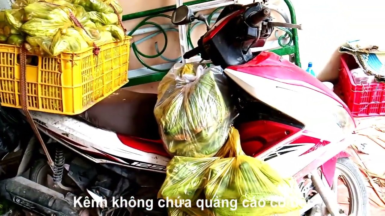 140kg rau quả các loại như mướp hương, hủ qua, dưa leo và cải, Châu Lăng, Tri Tôn, An Giang 19/01/26