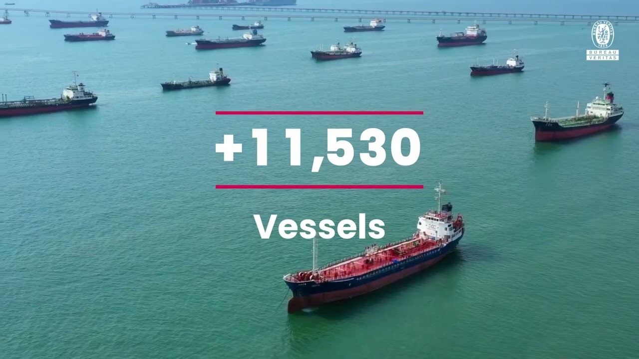 Bureau Veritas Marine & Offshore at a Glance