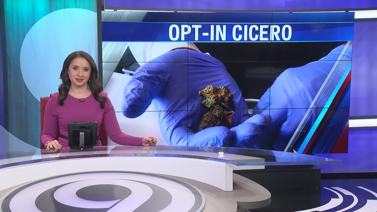 Neighbors in the Town of Cicero petitioning to allow sales and consumption of marijuana