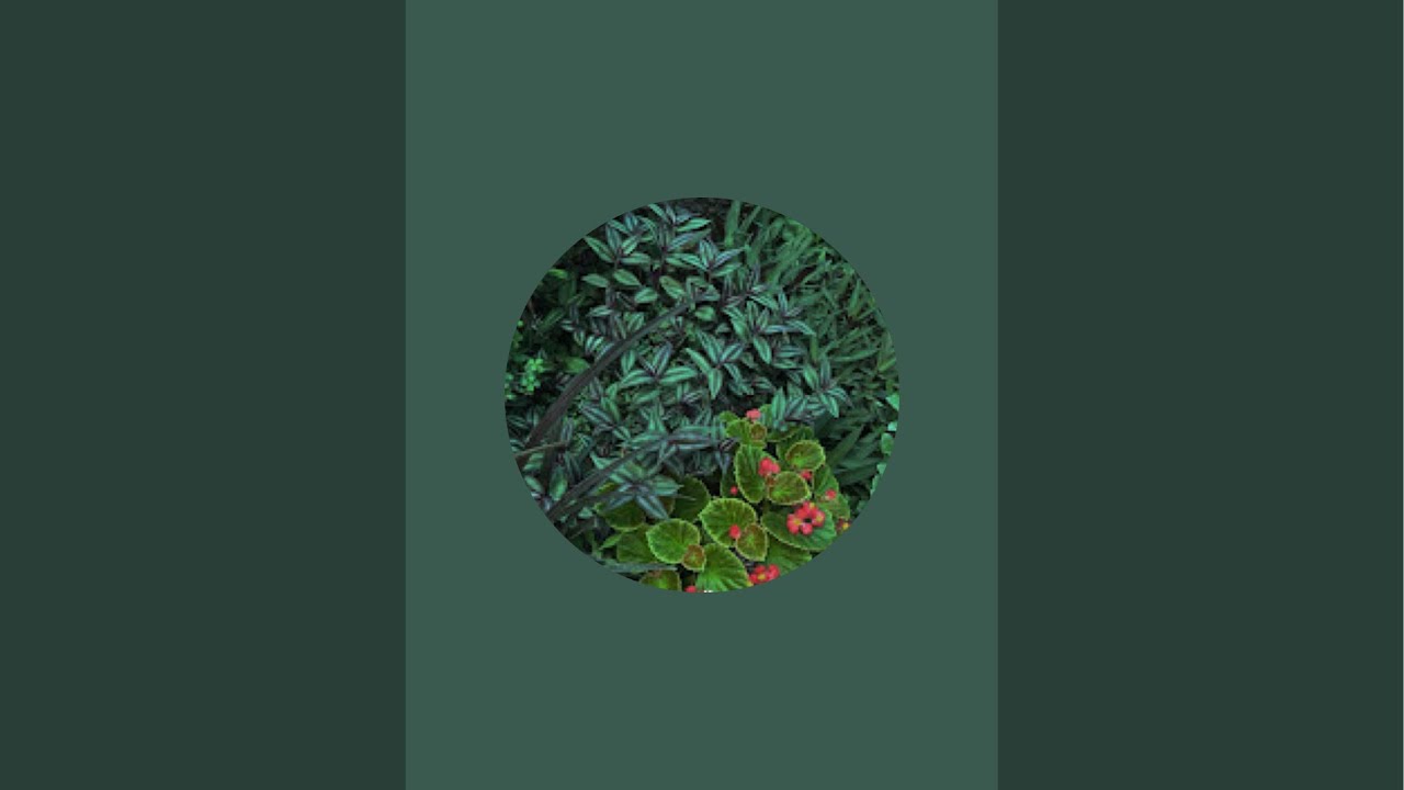 Gardening Tips by Aryan is live