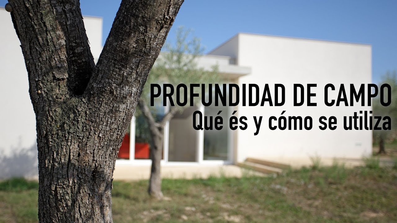 Qué es y cómo utilizar la profundidad de campo