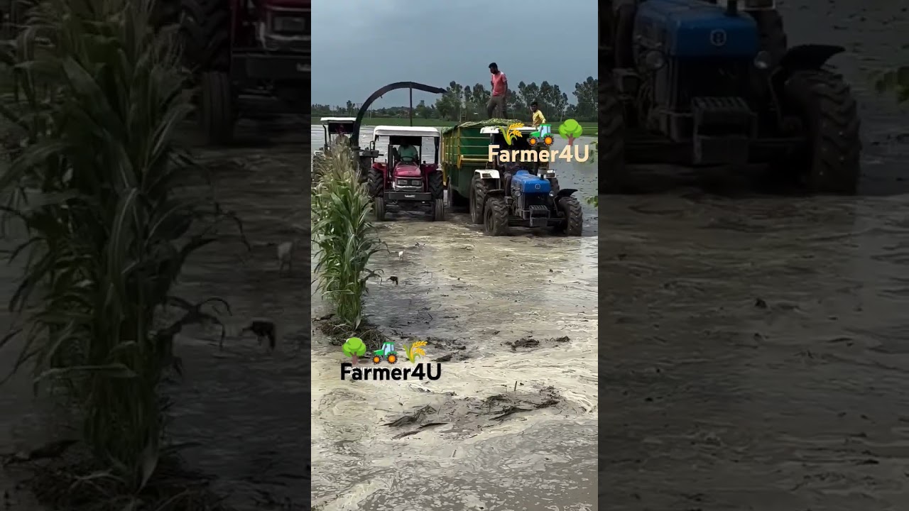 #farming