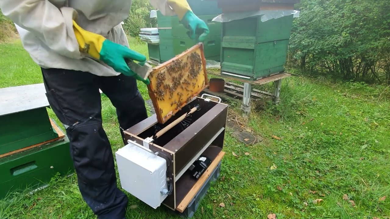 Bienenabkehrmaschiene im Einsatz                             Bee sweeper in use
