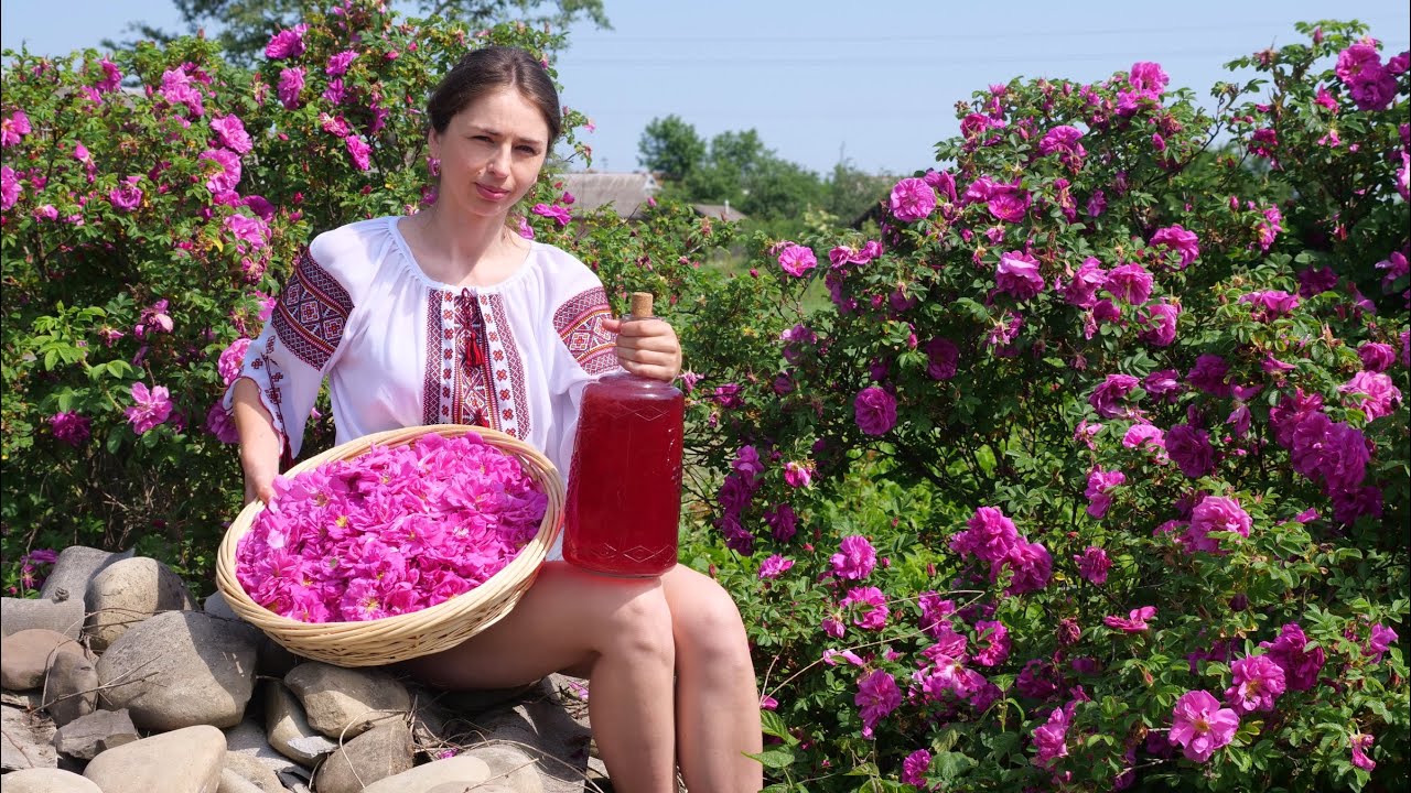Женщина живет в украинском селе!🌺Сбор урожая роз и превращение лепестков в напиток и варенье