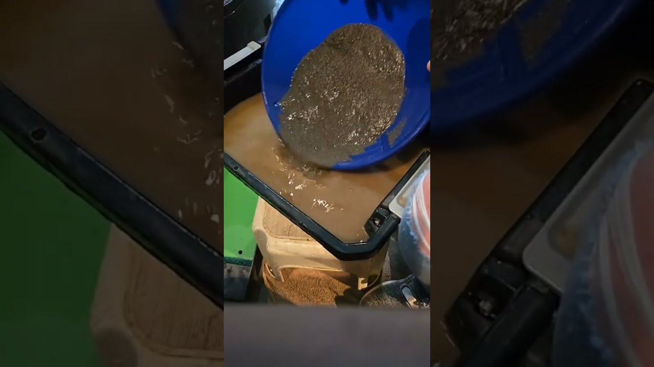 First time live.  checking classified tailings from Miller table and dream mat. Both lose gold. 