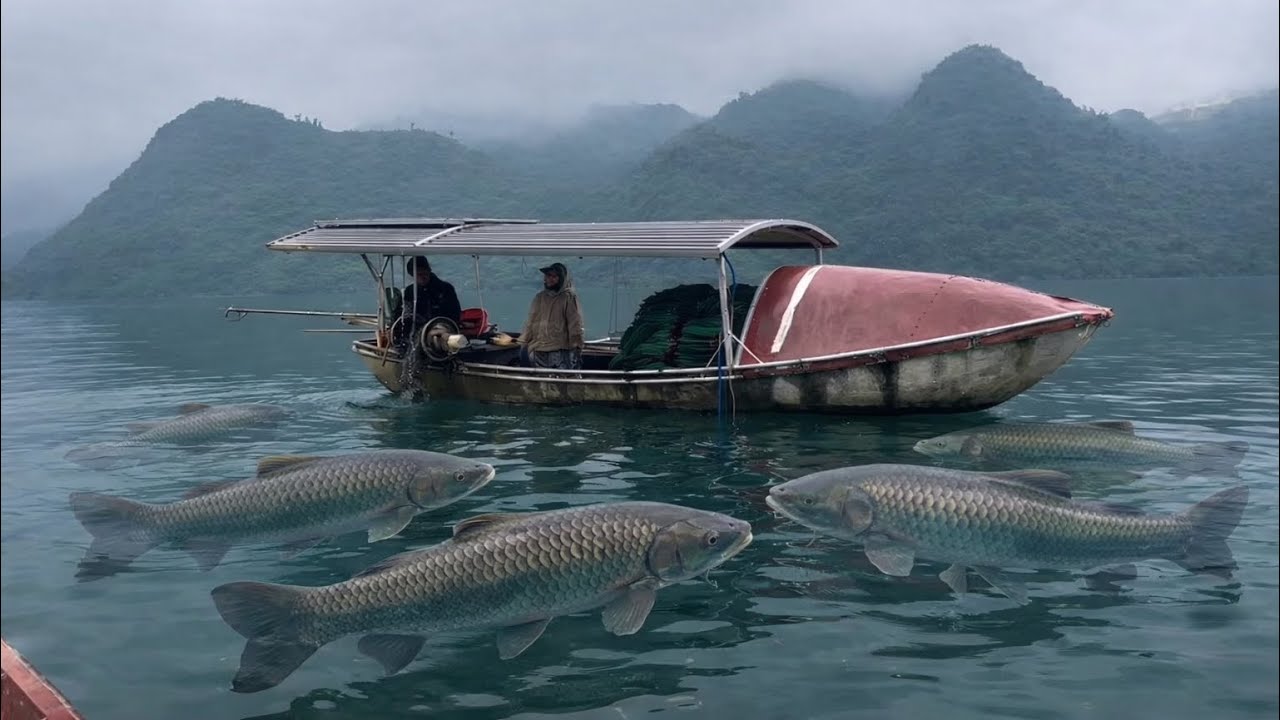 Going to the mountain lake with my parents to catch shrimp and fish, enjoying nature together