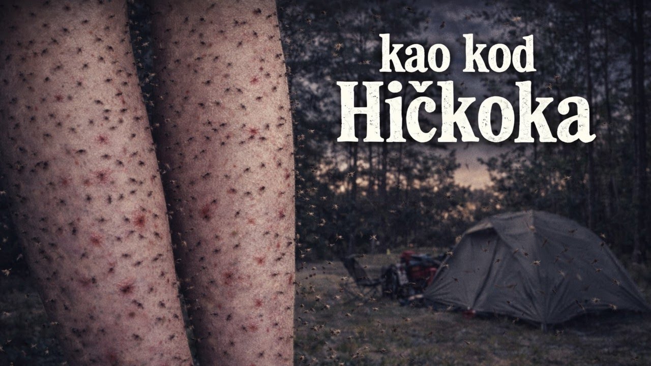 🇦🇺 AUSTRALIJA 🚴‍♀️ Ep.4: Početak putovanja | HOROR kampovanje