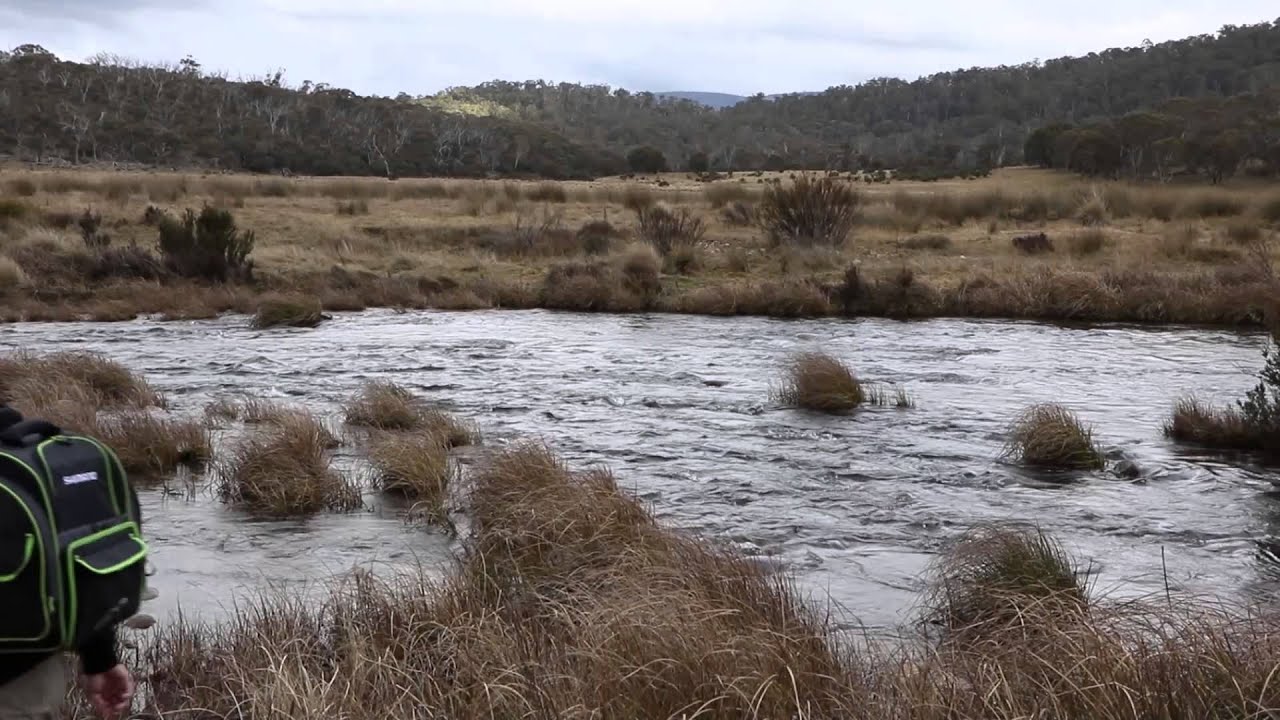 SHIMANO STRADIC SERIES ONE