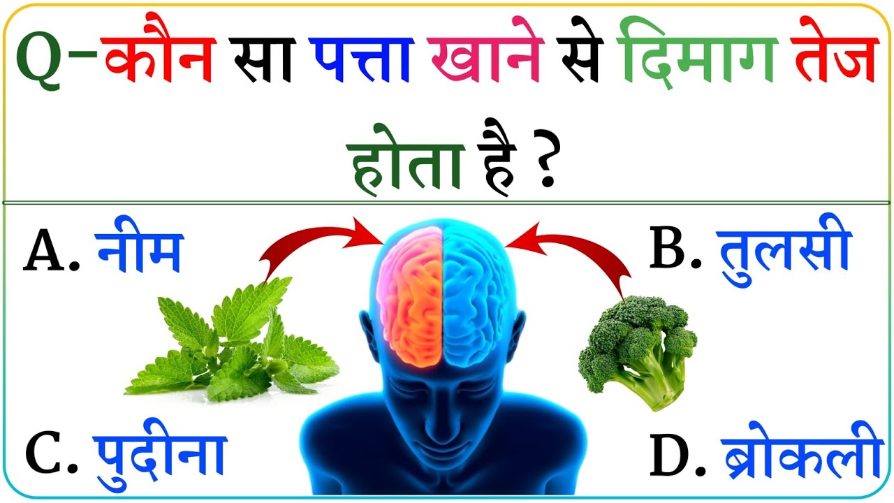 Gk Questions || Gk In Hindi || Gk ke sawal || General Knowledge || Gk Questions And Answers In Hind