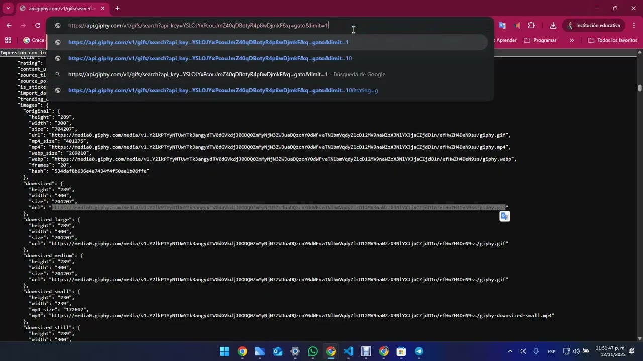 06   Bot python buscador GIFS