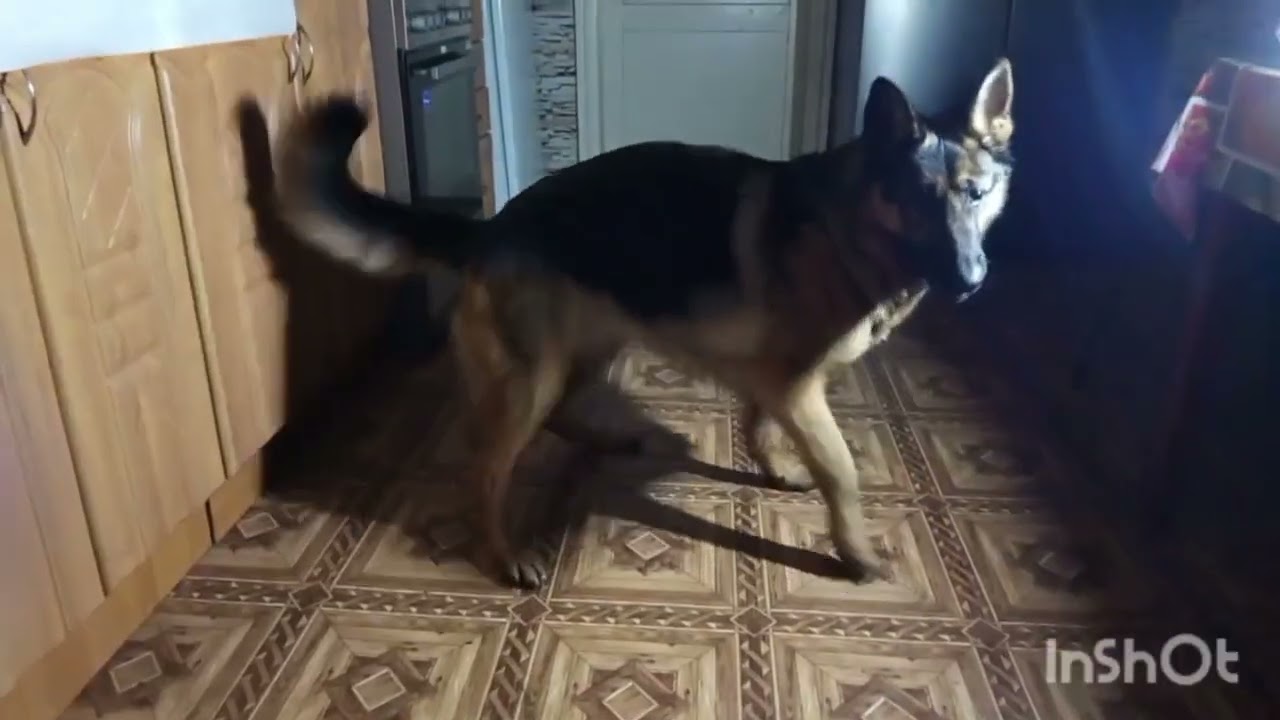 How we spend our evenings when the power is out. | Як ми проводимо вечори,коли нема світла.