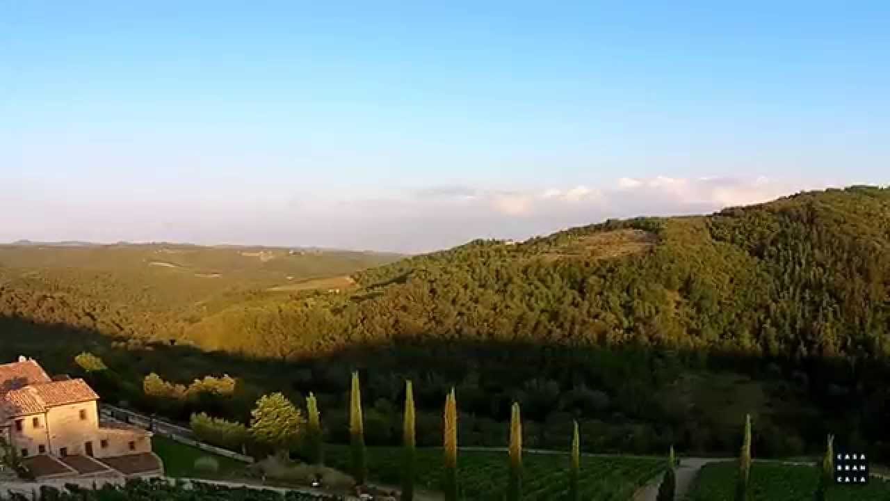 Drone Flight over the Brancaia Wine Estate
