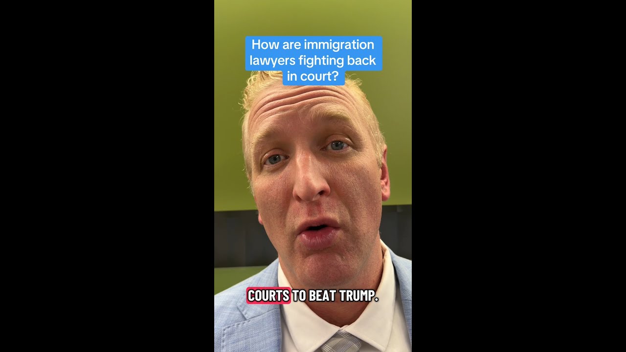 Как иммиграционные юристы отстаивают свои права в суде?