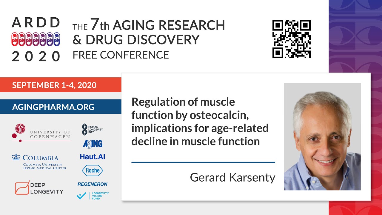 Gerard Karsenty - Regulation of muscle function by osteocalcin