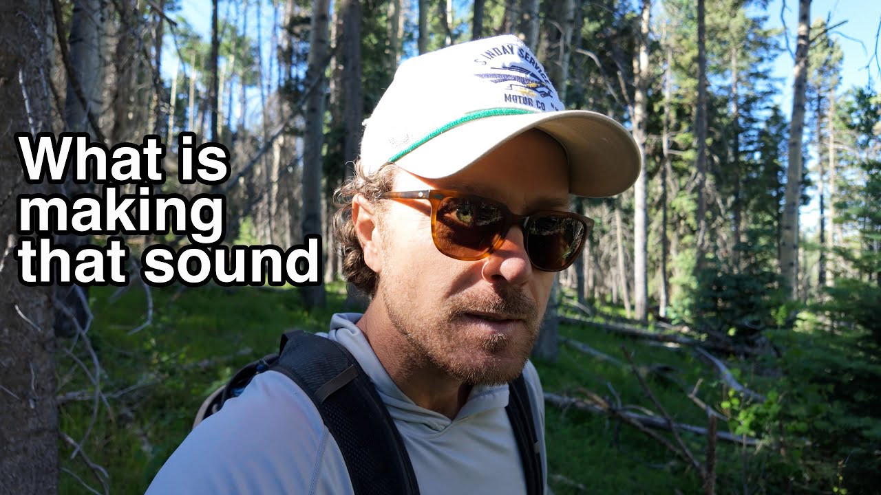 Search for Ancient Hunting Camp