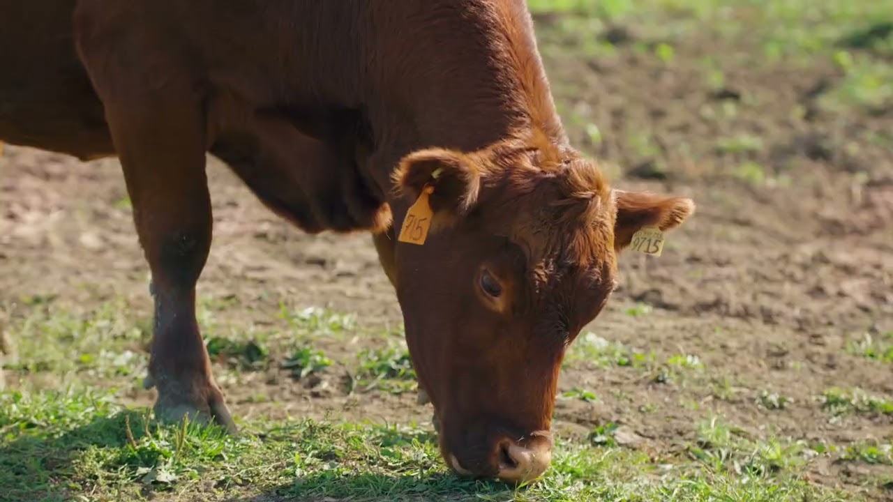 Vos souhaits : 25e anniversaire de la FADQ