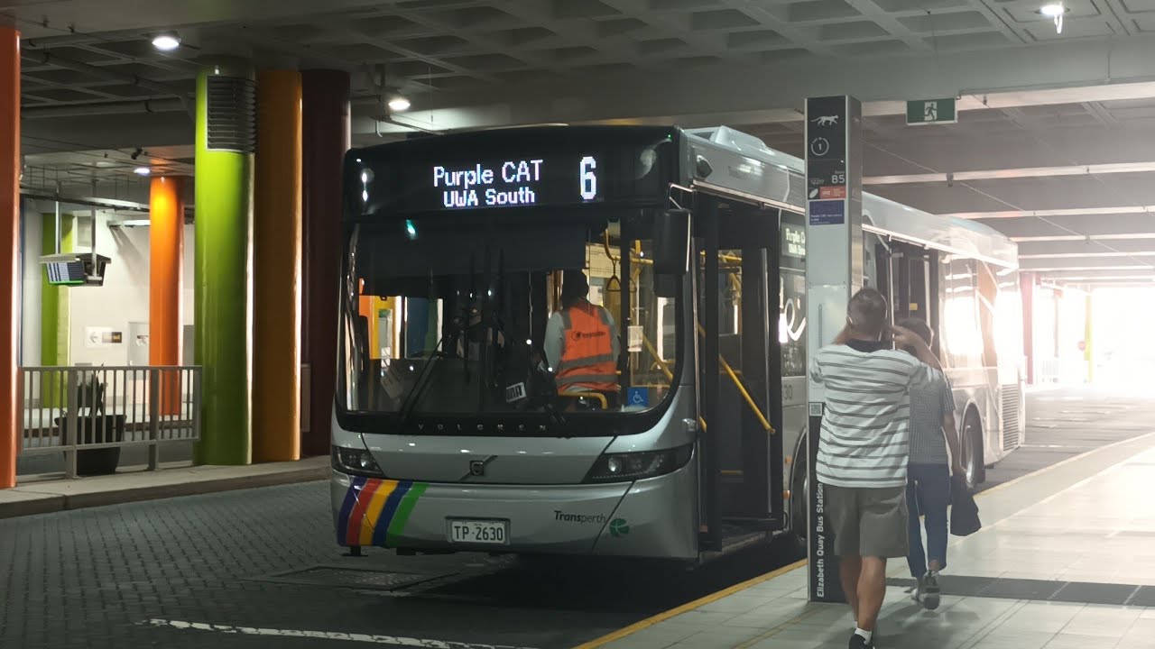 [New Long CAT] Transperth Bus Purple CAT Route No. 6 (TP2630) Elizabeth Quay Bus Station ↺ UWA South
