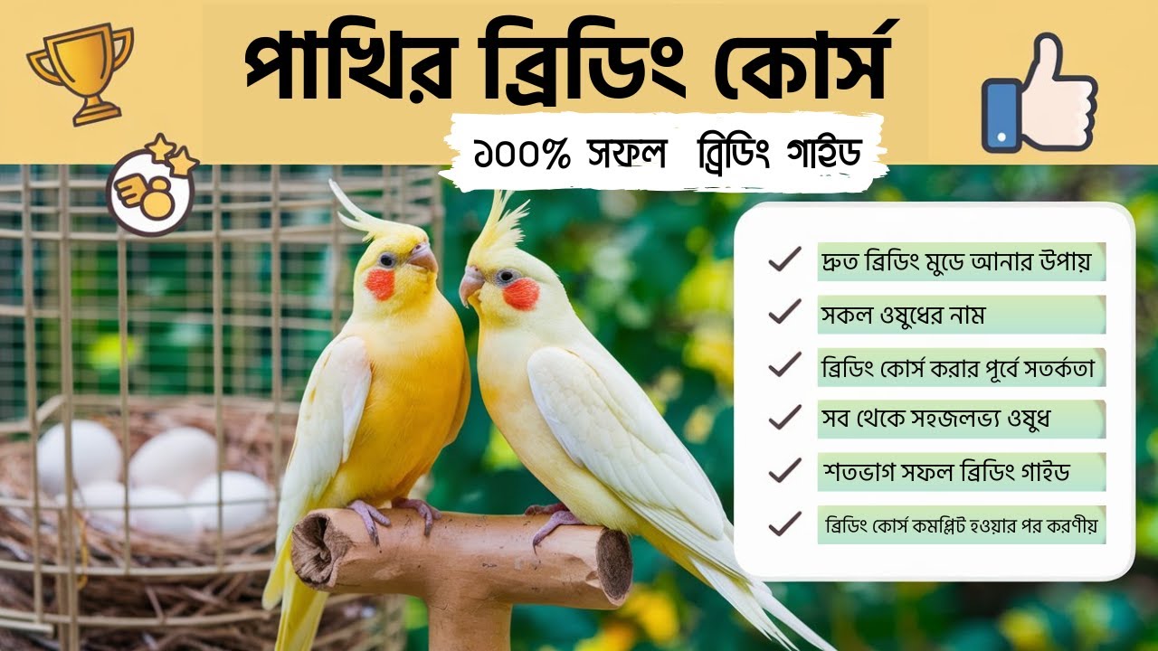 পাখির ব্রিডিং কোর্স I পাখিকে দ্রুত ব্রিডিং মুডে আনার কার্যকর উপায়  ১০০% সফল  ব্রিডিং গাইড