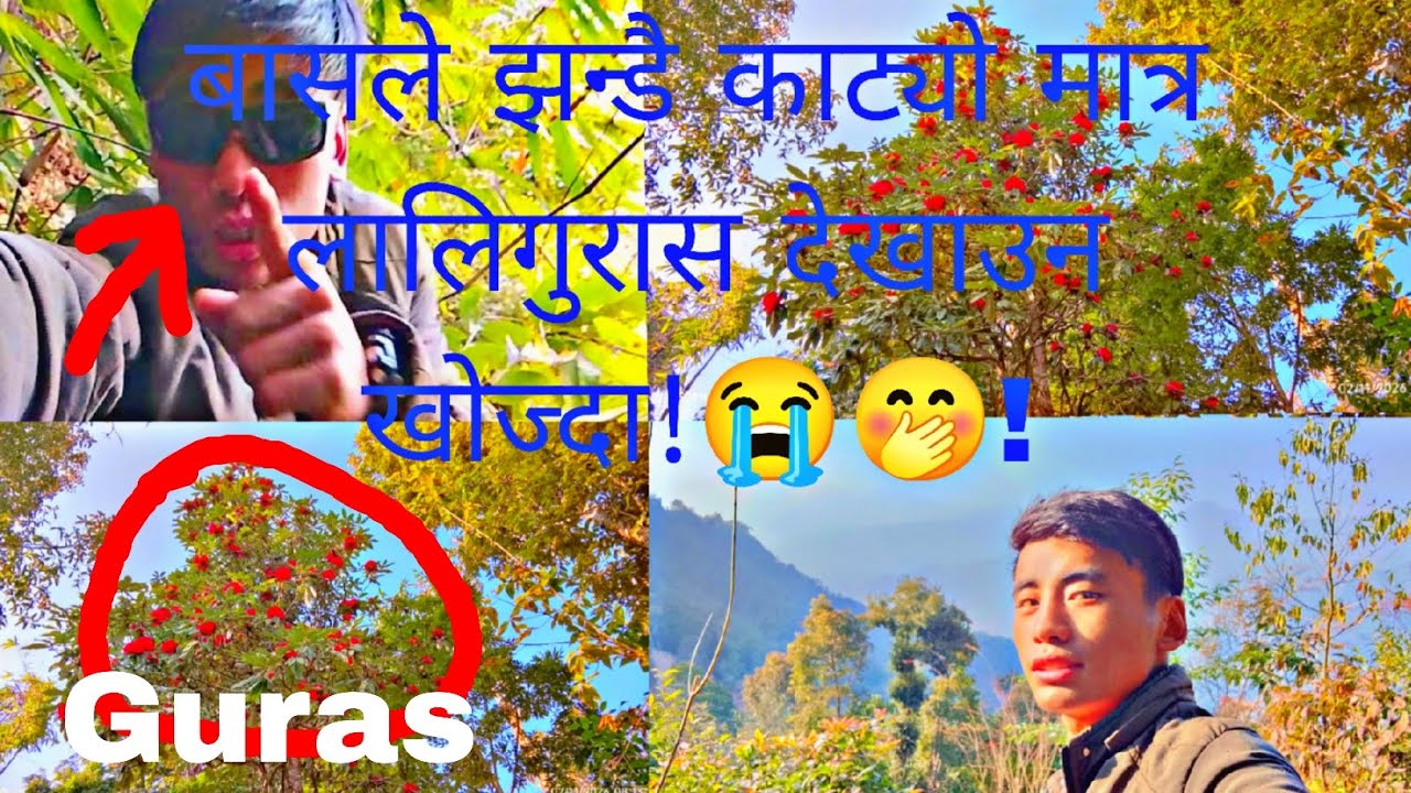 Basle jandai katyo matra yarr 😭😥#Yakthung mini vlogs #nepali vlog #comedy vlog #nepal 🙏