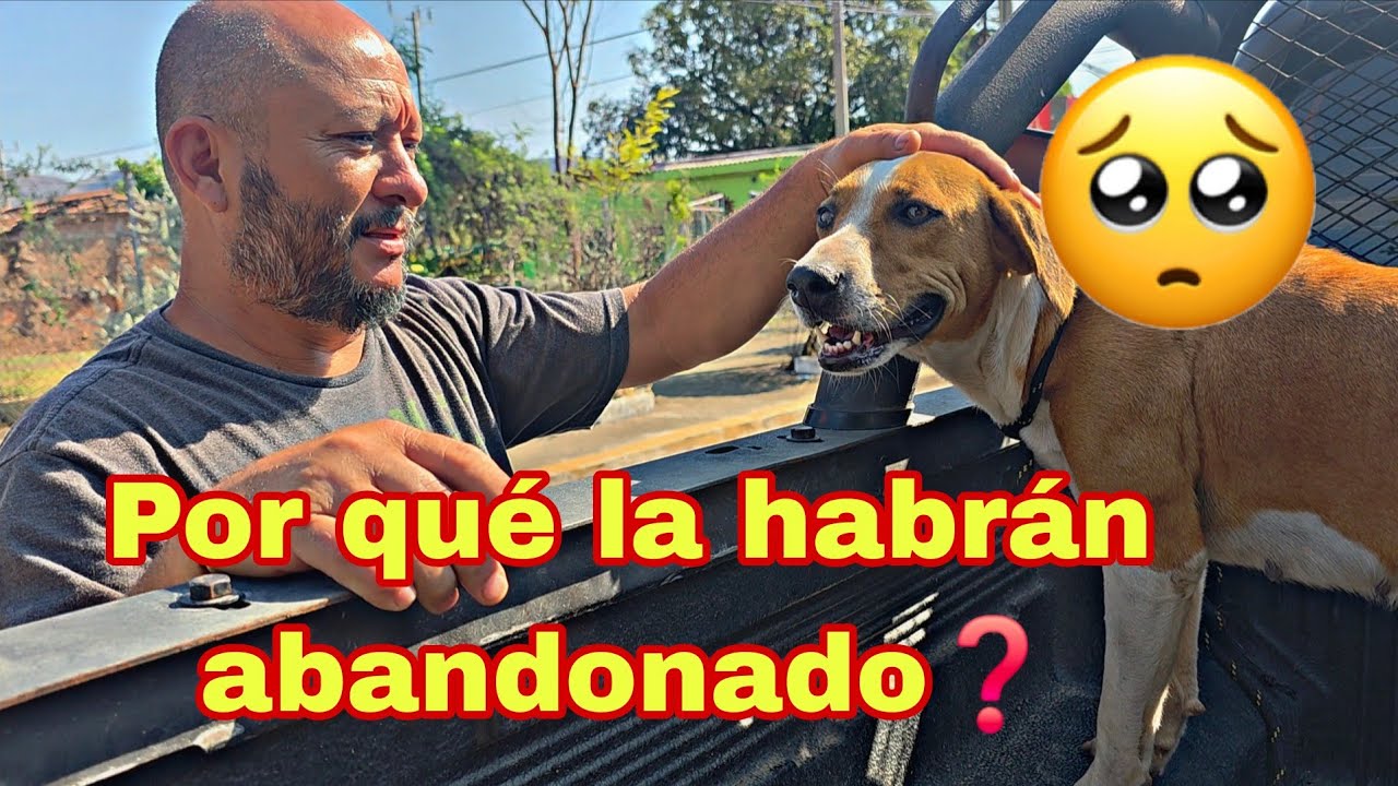 La ABANDONARON,pero mi hermana la RECOGI&Oacute;