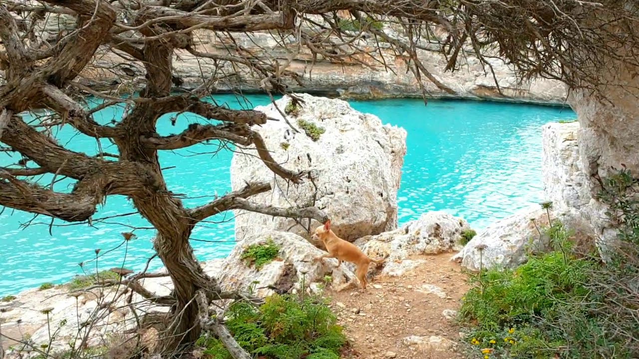 🏖Cala Marmols,🌴Mallorca🌊 April 18,🕔,⛅18°C.Playas de Mallorca! Spain 2021