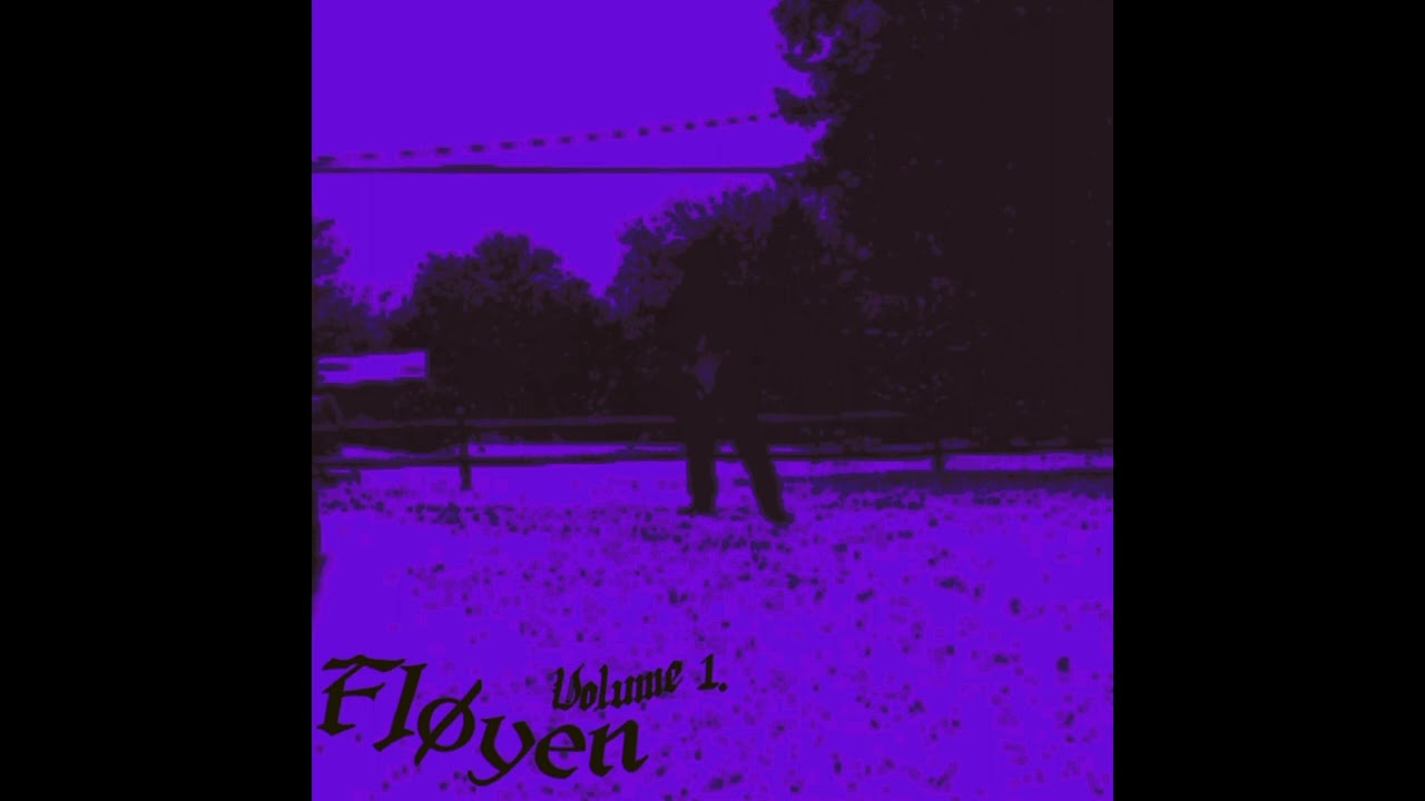 Crazysane / Gloomer - Fl&oslash;yen