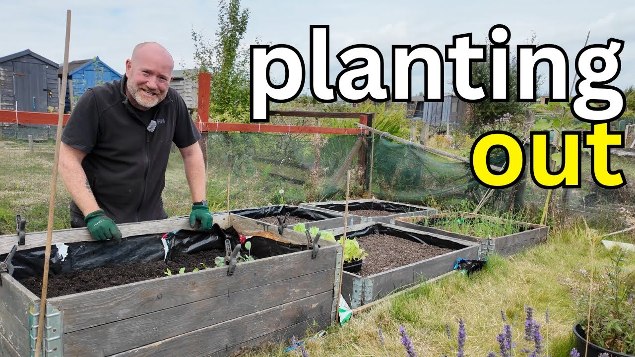 Are Plug Plants Any Good? | Progress On Plot 2