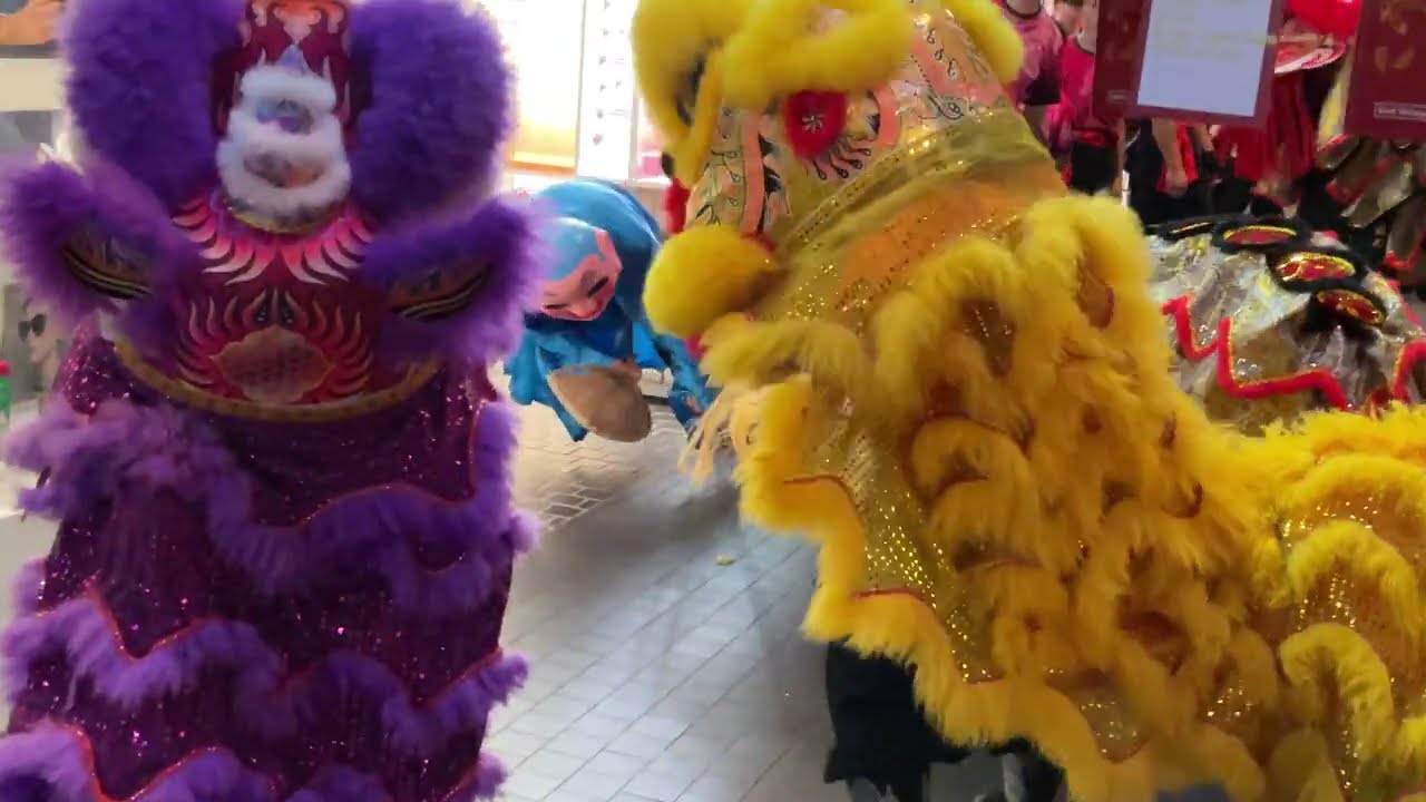 CNY of the Fire Horse🐎Lions Dance 🦁Greetings  in Optometry Shop, Florist. East Village