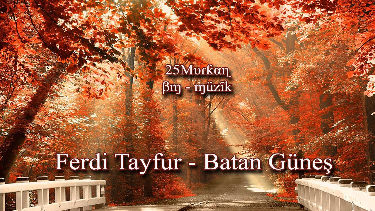 Ferdi Tayfur - Batan Güneş ( Karaoke )