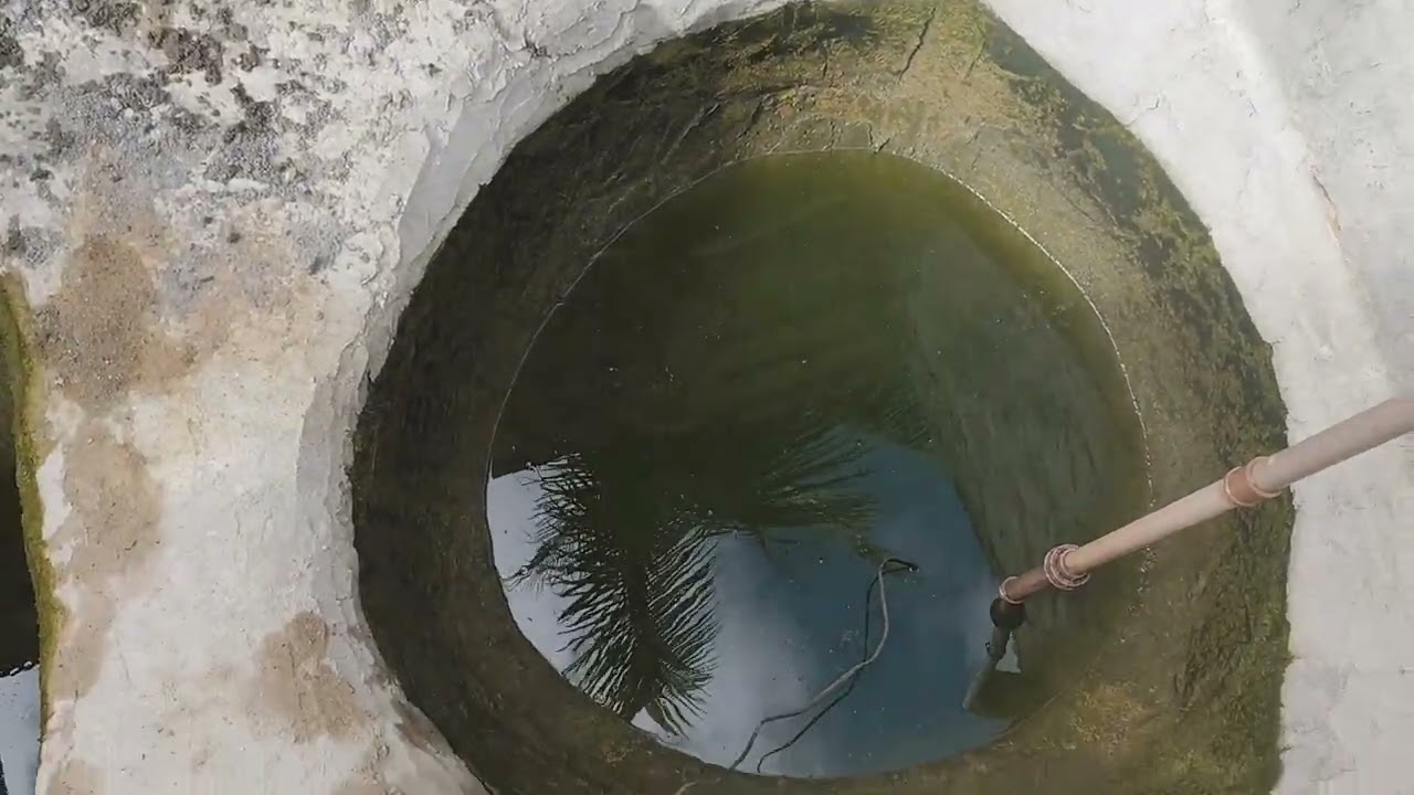 Nossa criação de tilápias em tanques elevados 