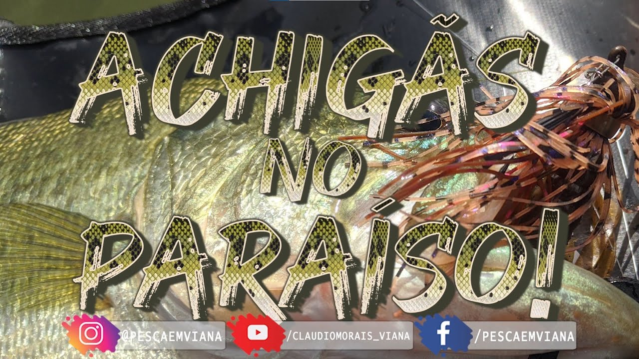 Achigãs no PARAÍSO - 4 dias com VÁRIAS CAPTURAS!