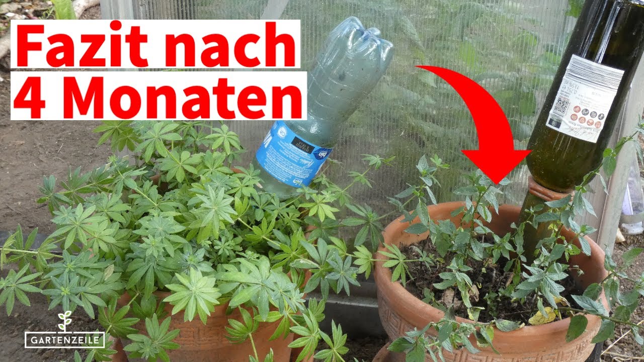 Tonkegel-Bew&auml;sserung im Test - Fazit nach 4 Monaten Anwendung in Pflanztopf und Beet