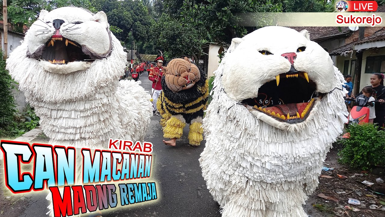 CAN MACANAN MAONG REMAJA KIRAB LIVE IN WEST SUKOREJO