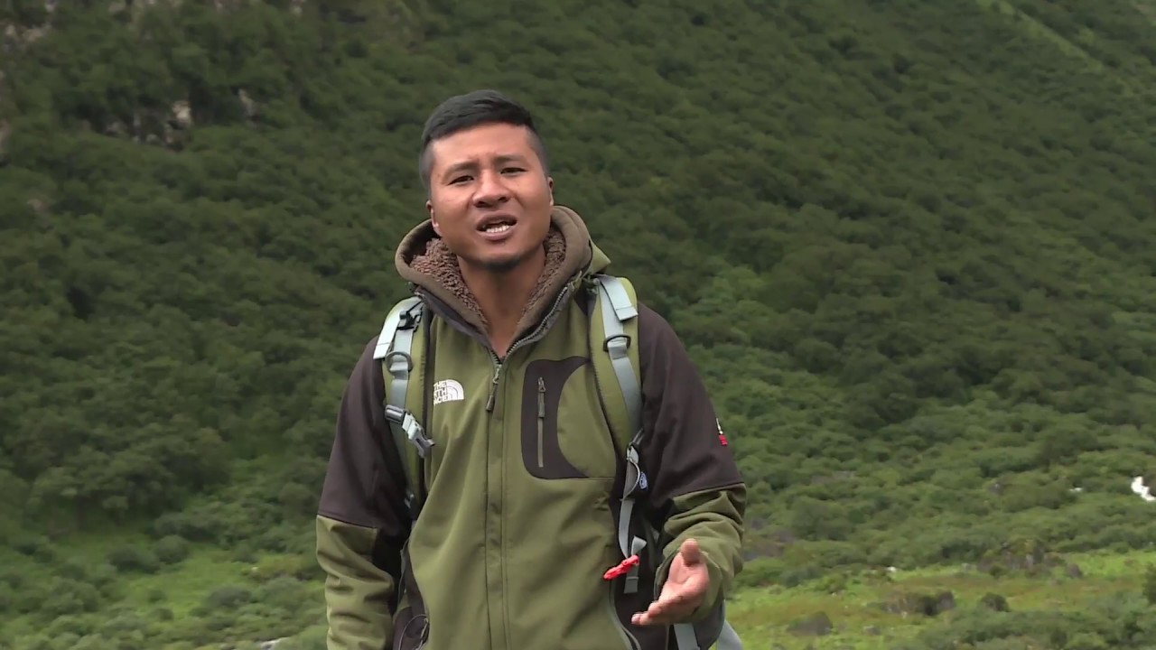 Effects of climate change on alpine flora in Bhutan