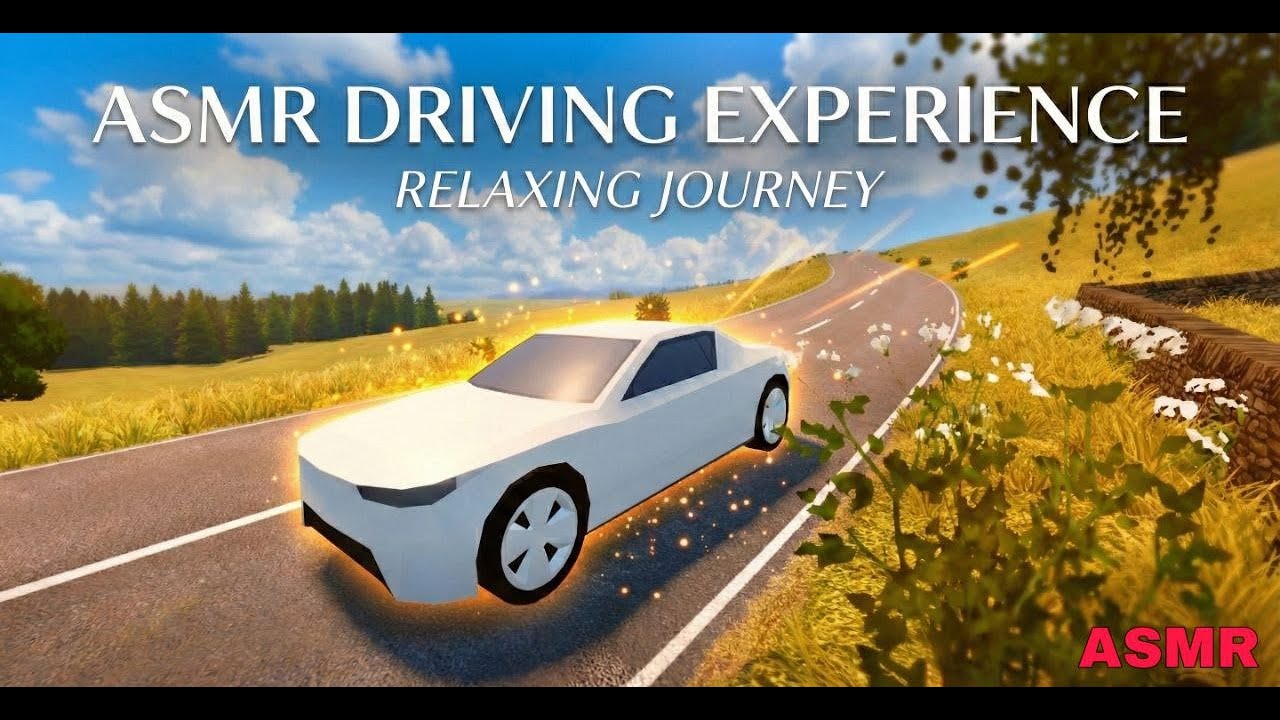 Relaxing Drive ASMR  | Deep Sleep & Study Ambience [No Talking]