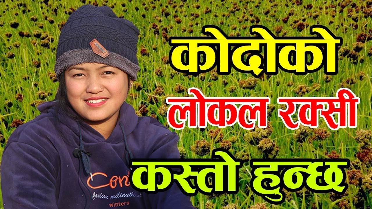हँसीली गुरुङसेनीलाई प्रश्नः कोदोको लोकल रक्सी कस्तो हुन्छ ? हाँसेर दिईन् यस्तो जवाफ │Nepal Chitra