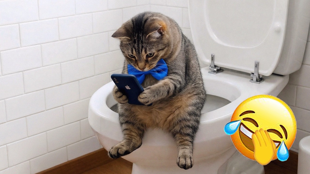 🍑The FUNNIEST Animals Around the World! 🍈NEW Funny Animal Videos 2026 #FunniestCats #Funniestanimal