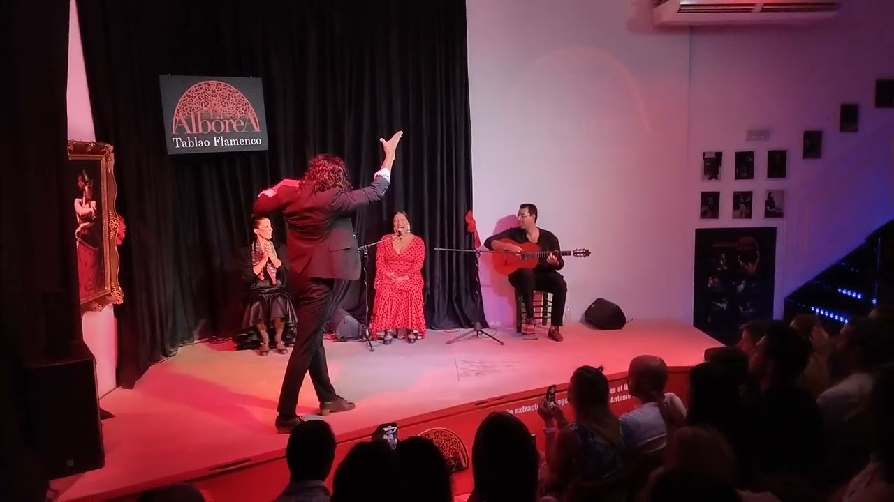 Tablao Flamenco La Alborea Granada part3