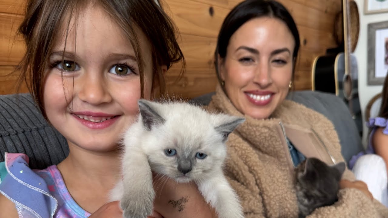 Day in the life - We met our new kittens on Easter wknd