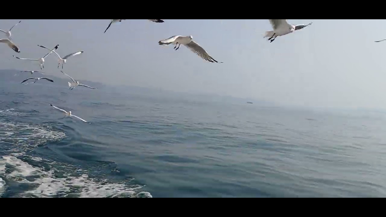grandiland goa beautiful 🐦  sightseeing