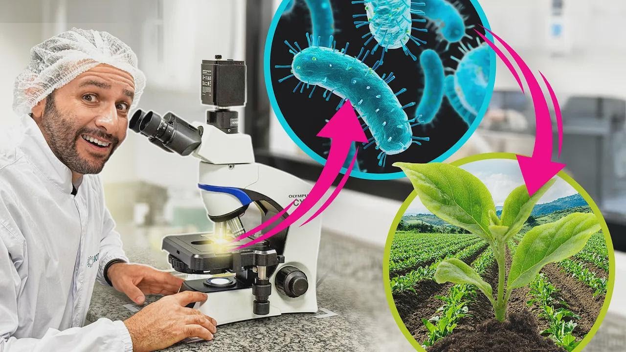 Come si producono i biofertilizzanti? Scoprilo con noi!