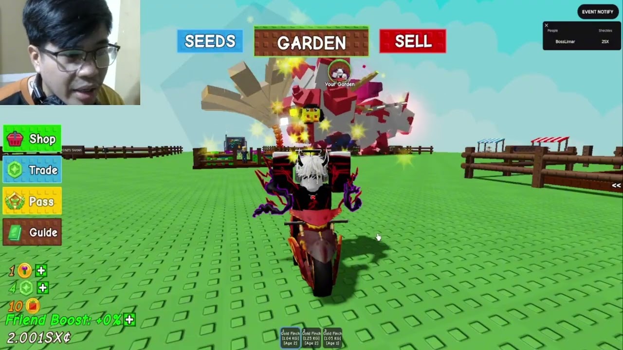 Gold Finch pamigay sa mga Legit baguhan palang sa GAG! #growagarden #growagardenroblox #roblox