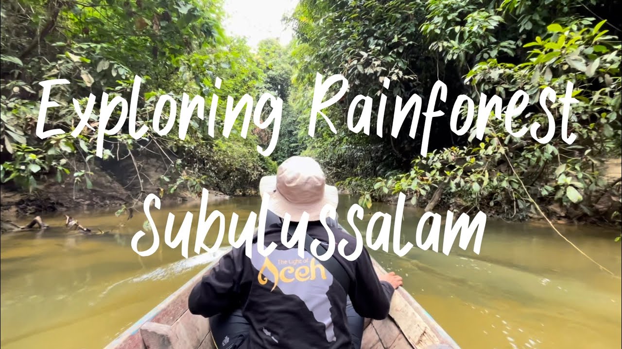 Exploring Rainforest In Subulussalam (Leuser Ecosystem) - Aceh, Indonesia