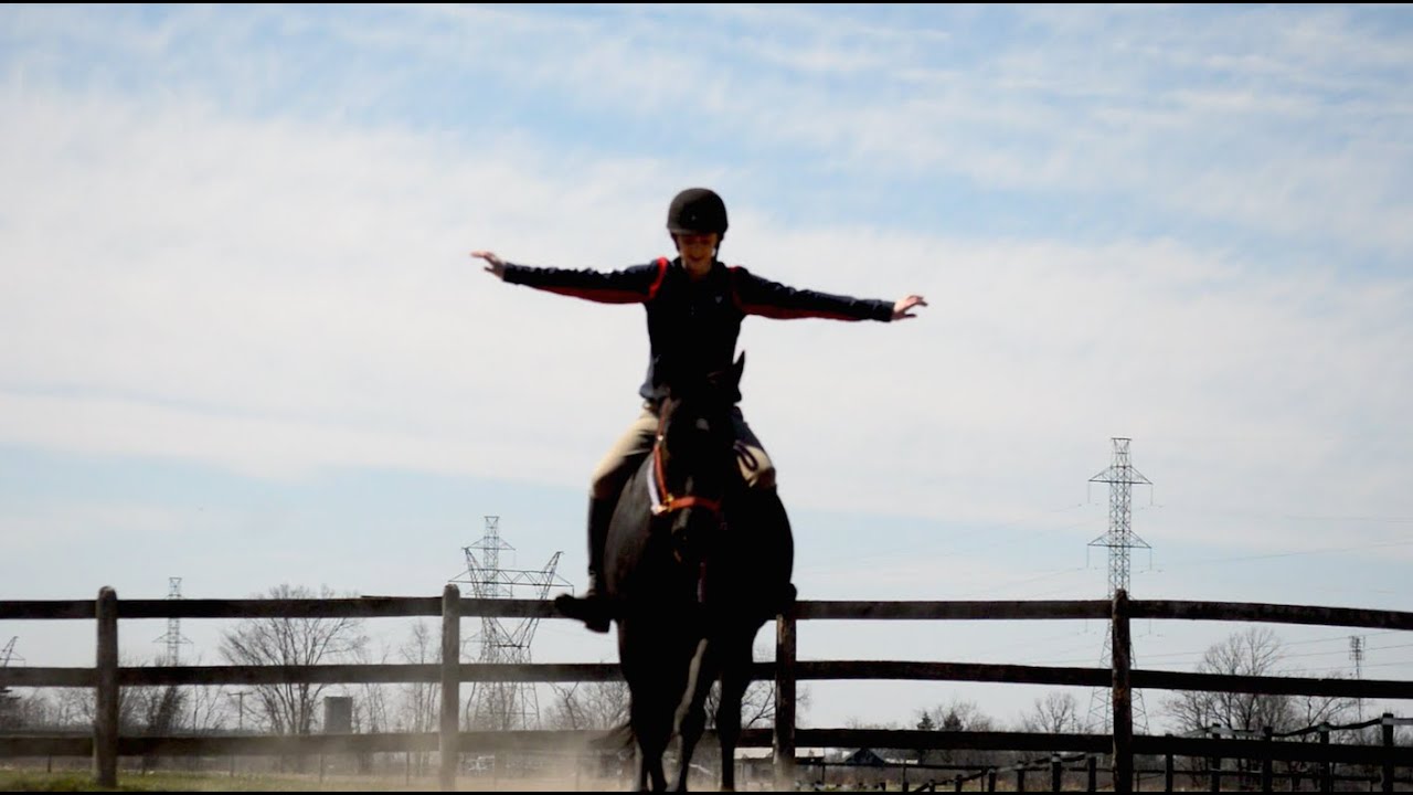 Horses Change Lives