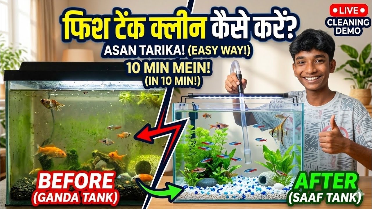 Fish tank clean kaise karen||🐟🐬#fishing 