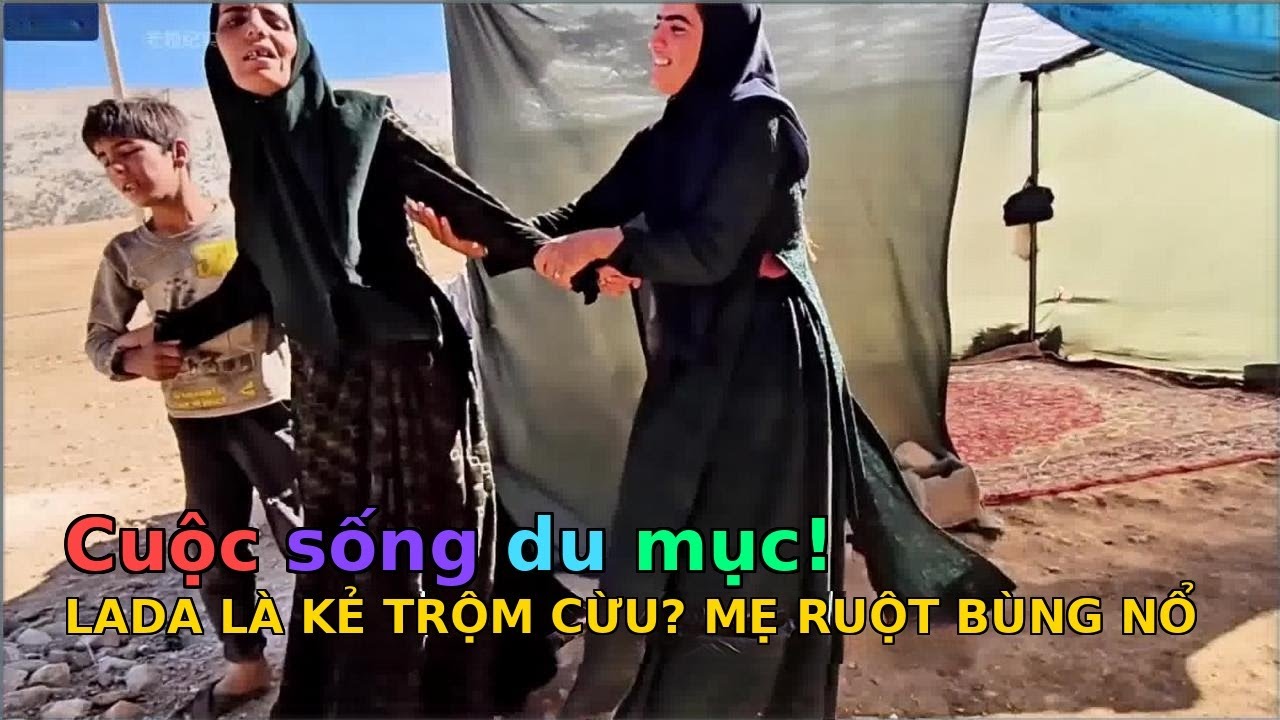 Cuộc sống của hamid và mẹ đỡ đầu của anh ấy - TẬP 777 - 799:Mẹ ruột bùng nổ:Kẻ trộm cừu chính là?