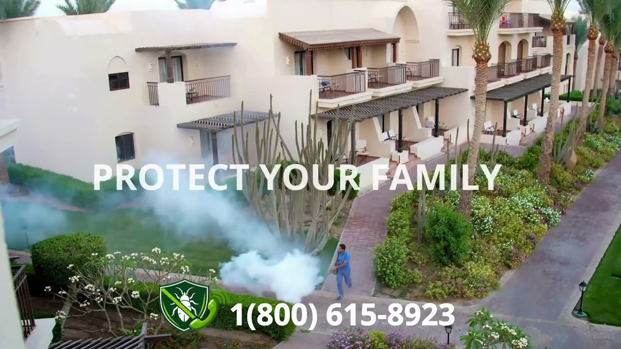 Top 3 Pest Control in Coos Bay