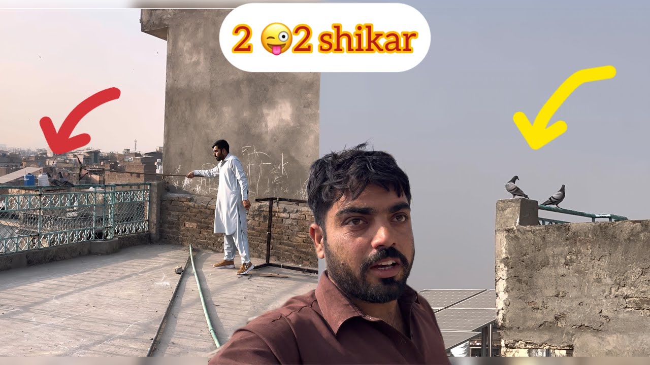 2 kabootar sath chat Pa bath ghie😧apna 2 pakra kabootar chala ghie😢😢😢